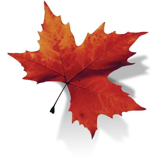 Canadain Maple Leaf