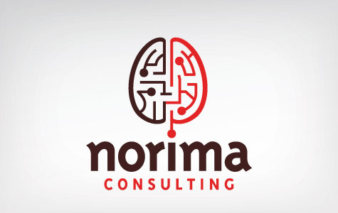 Norima Consulting - Uncommon Sense