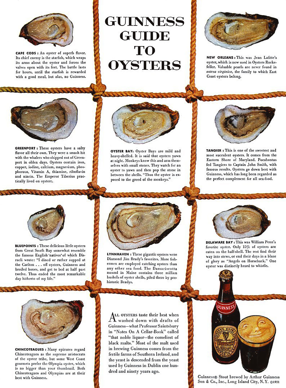 Guiness Guide to Oysters