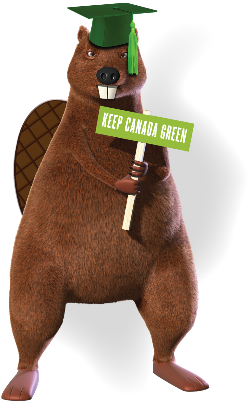 Gaspard Beaver Mascot